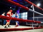 Campionat National de Box Tineret