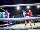 Campionat National de Box Tineret