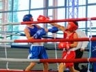 Campionat National de Box Tineret