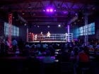 Campionat National de Box Tineret