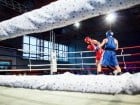 Campionat National de Box Tineret