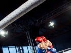 Campionat National de Box Tineret