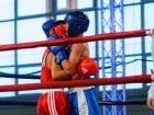 Campionat National de Box Tineret