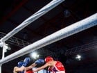 Campionat National de Box Tineret