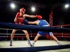 Campionat National de Box Tineret