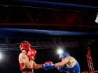 Campionat National de Box Tineret