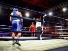 Campionat National de Box Tineret