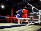 Campionat National de Box Tineret