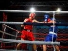 Campionat National de Box Tineret