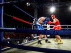 Campionat National de Box Tineret