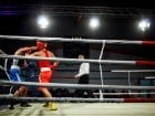 Campionat National de Box Tineret