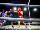 Campionat National de Box Tineret