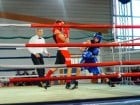 Campionat National de Box Tineret