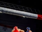 Campionat National de Box Tineret