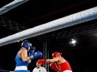 Campionat National de Box Tineret