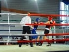 Campionat National de Box Tineret