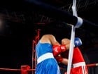 Campionat National de Box Tineret