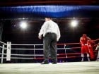 Campionat National de Box Tineret