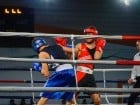 Campionat National de Box Tineret