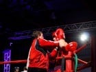 Campionat National de Box Tineret