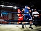 Campionat National de Box Tineret