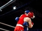 Campionat National de Box Tineret