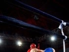 Campionat National de Box Tineret