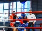 Campionat National de Box Tineret