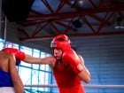 Campionat National de Box Tineret