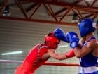 Campionat National de Box Tineret