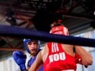 Campionat National de Box Tineret