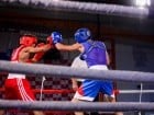 Campionat National de Box Tineret