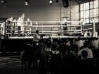 Campionat National de Box Tineret