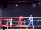 Campionat National de Box Tineret