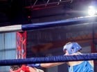 Campionat National de Box Tineret