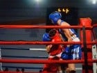 Campionat National de Box Tineret