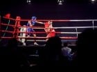 Campionat National de Box Tineret