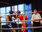 Campionat National de Box Tineret