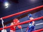 Campionat National de Box Tineret