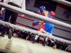 Campionat National de Box Tineret