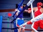 Campionat National de Box Tineret