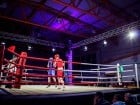 Campionat National de Box Tineret