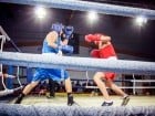 Campionat National de Box Tineret