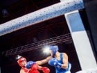 Campionat National de Box Tineret