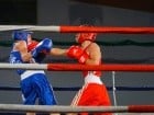 Campionat National de Box Tineret