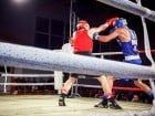 Campionat National de Box Tineret