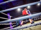 Campionat National de Box Tineret