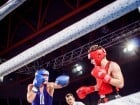 Campionat National de Box Tineret