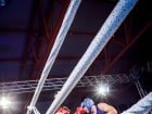 Campionat National de Box Tineret