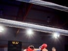 Campionat National de Box Tineret